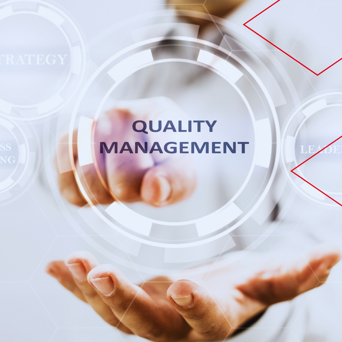 BP Website Blog 040226 (1)